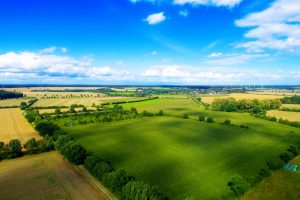 Wetenschappers pleiten voor toestaan nieuwe veredelingstechnieken in Europa’s biologische landbouw