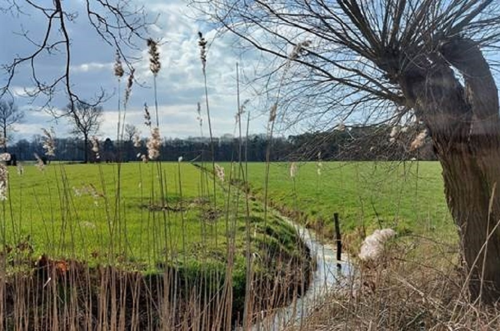 Onderhoud kleine landschapselementen ruilverkaveling Nieuwmoer hervat