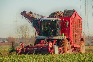 Belgisch loonbedrijf rooit eerste voederbieten