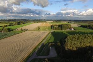 Onderzoek naar 'bacteriële veredeling' tegen droogtess