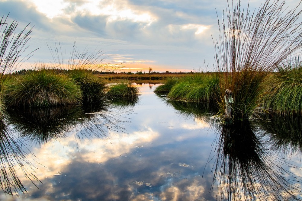 Participatief traject rond klimaatadaptatie landbouw wordt opgestart