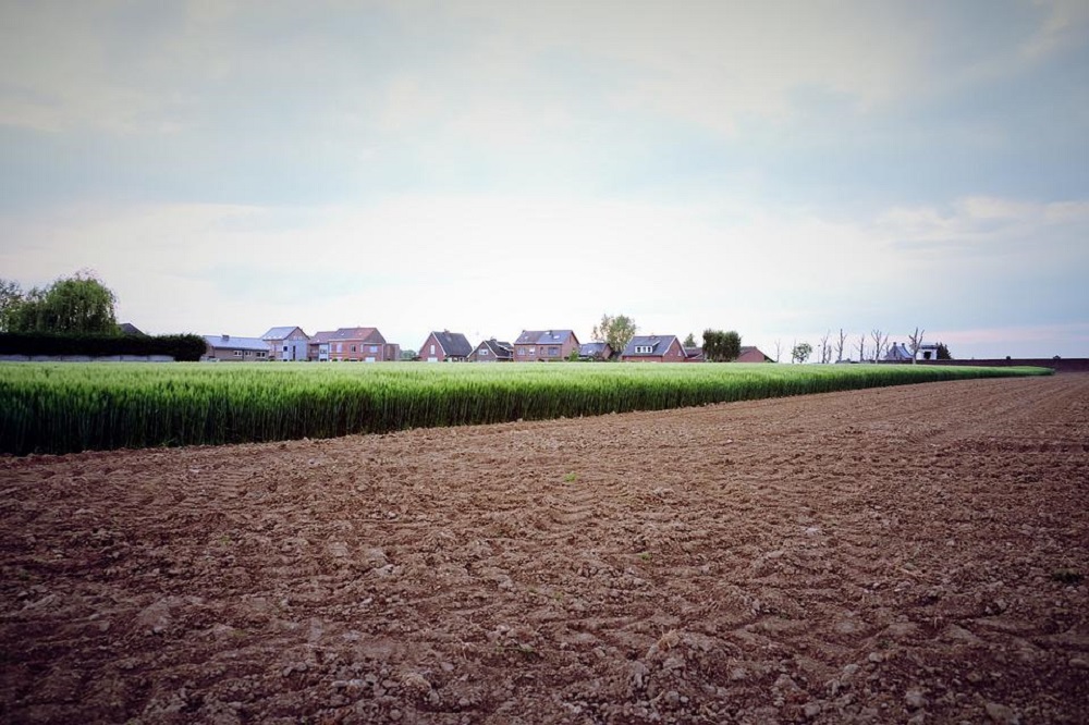 Stevige groeicijfers voor de Vlaamse agrohandel in 2021