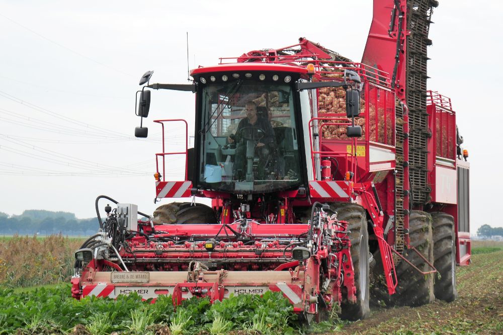 Fotoreportage: Volle bak rooien in de zware klei met de Holmer T4 40