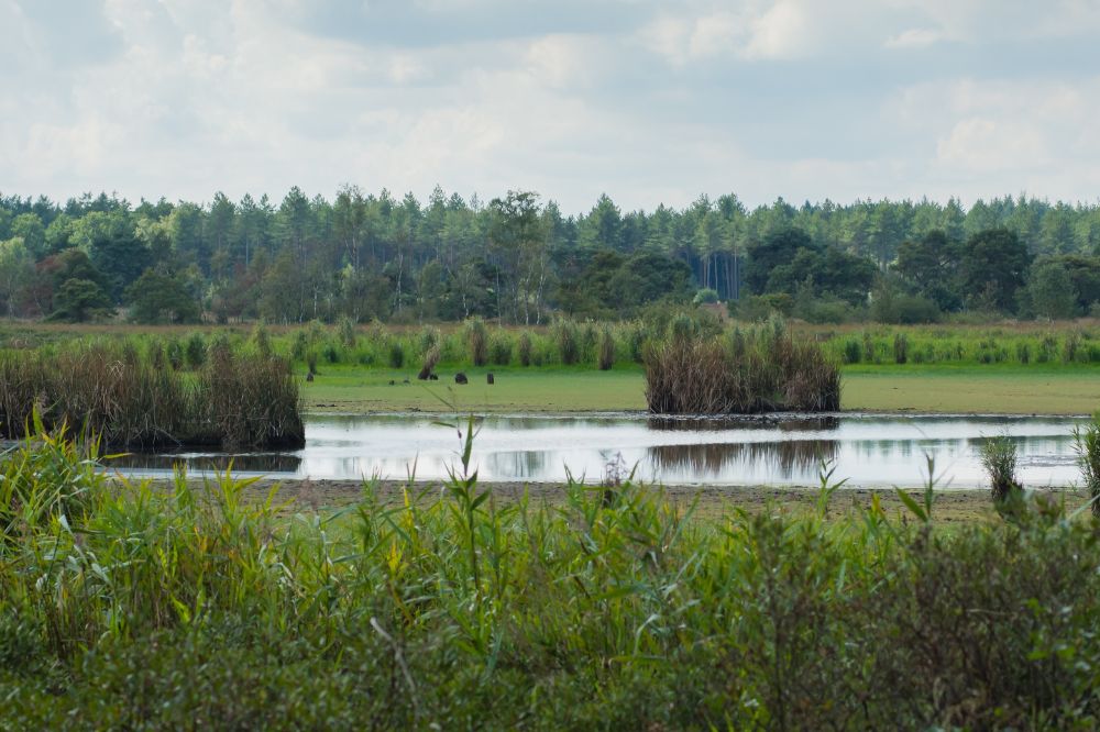 Weerbaar Water-Land-Schap zet advies hoogwaterbeveiliging om naar praktijk