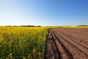 LV-Agrilens op vraag van departement foto doorsturen