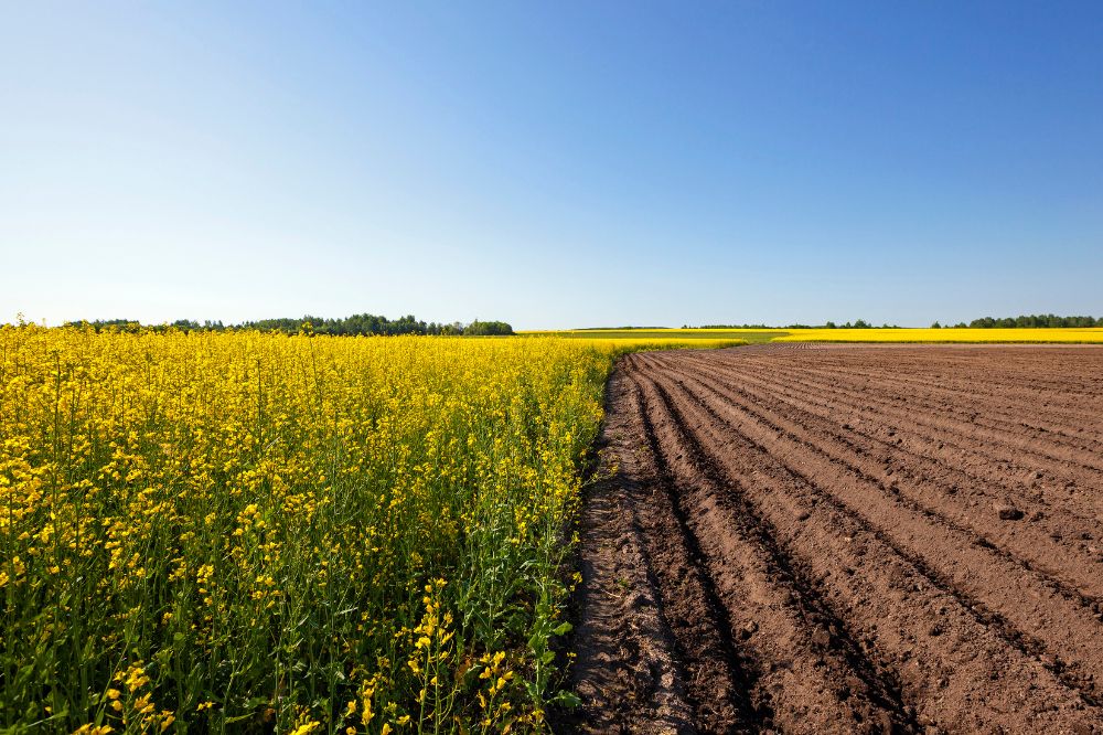 LV-Agrilens op vraag van departement foto doorsturen