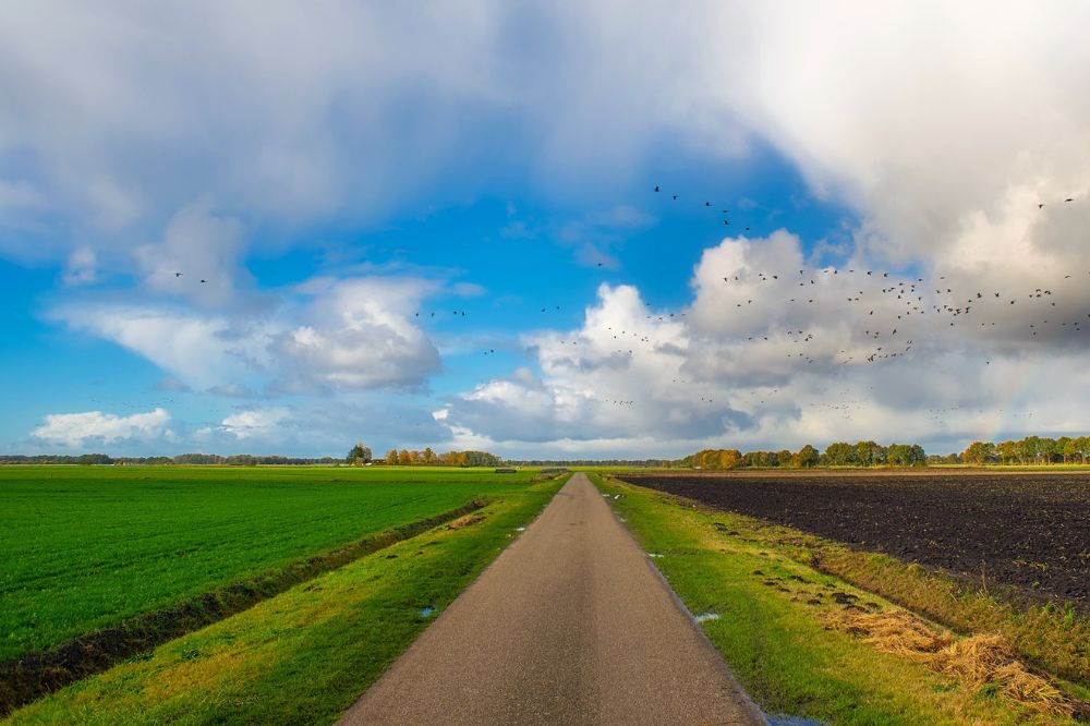 Wat mag u (niet) doen op braakliggend land en akkerranden?