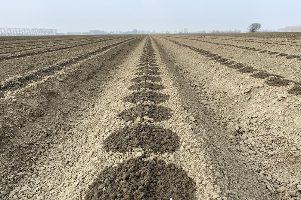 Mijlpaal in duurzaam gebruik van druppelirrigatie