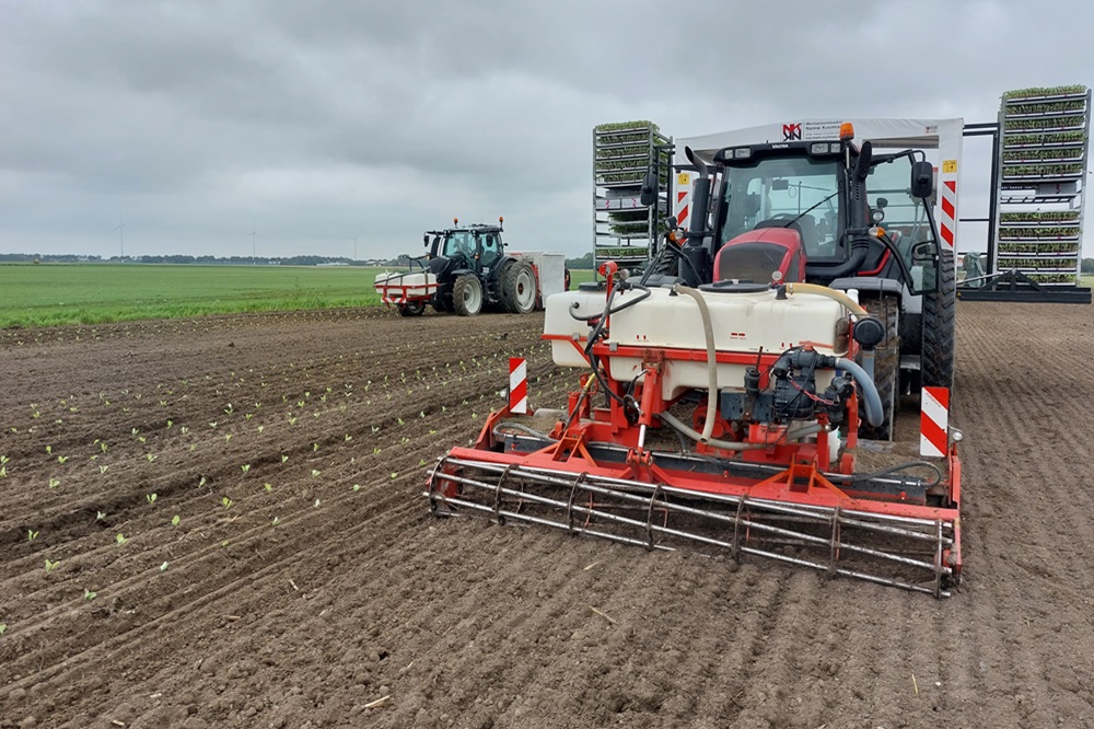 "Planten en rijenbemesting bevalt goed"